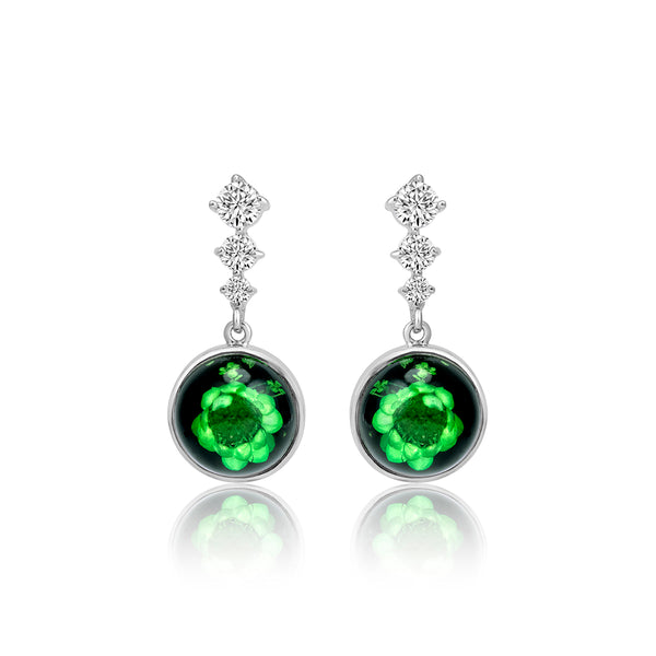 Green Dry Flower Silver Earrings