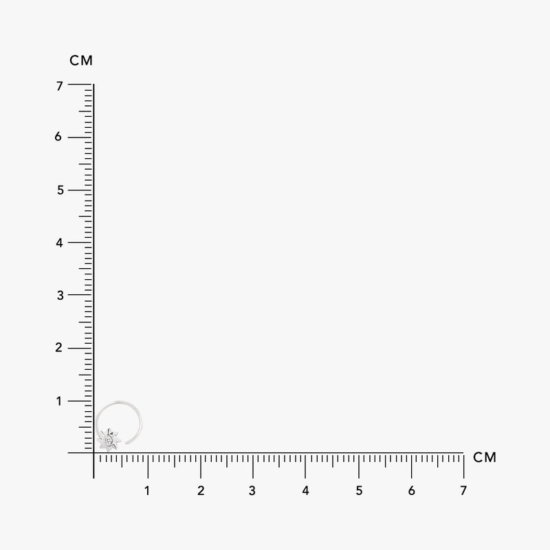 Silver Shine Nose Pin