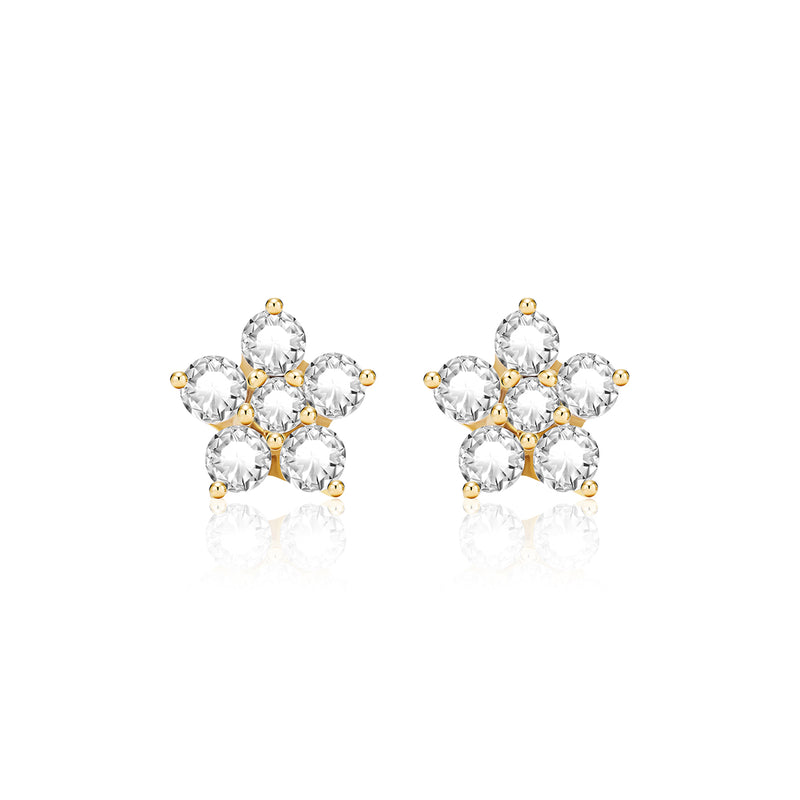 18k Gold Plated Classic Mini Flower Silver Set
