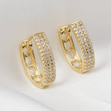 Zircon Studded Elliptical Hoop Earrings