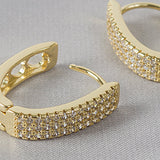 Zircon Studded Elliptical Hoop Earrings
